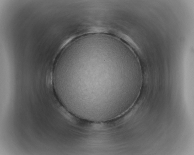 X0000113291220200909281005