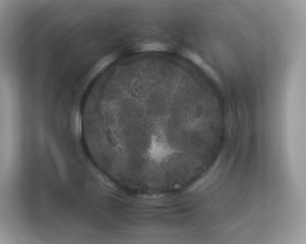 X0000113291221200909281005