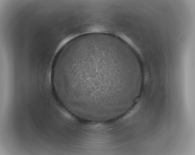 X0000113291222200909281005