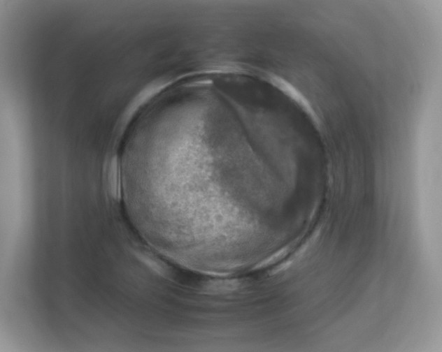 X0000113291223200909281005