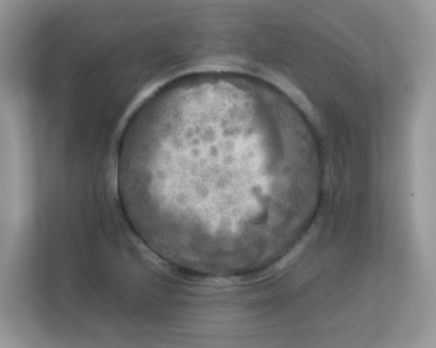 X0000113291224200909281005