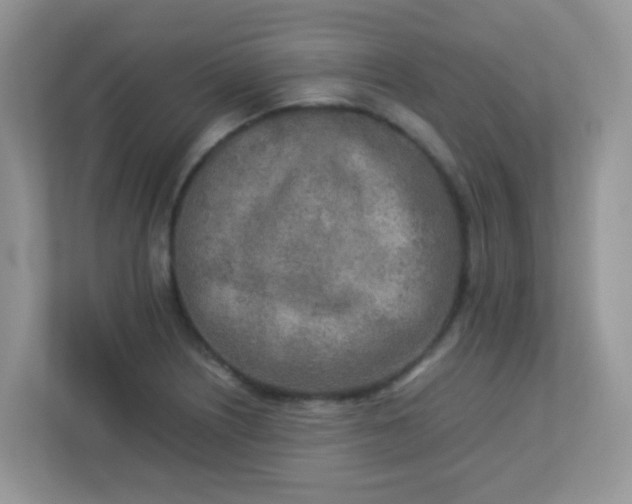 X0000113291226200909281005