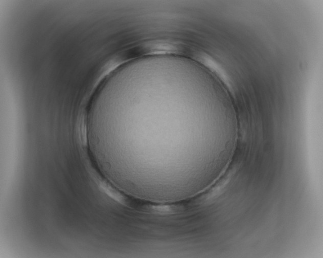 X0000113291227200909281005