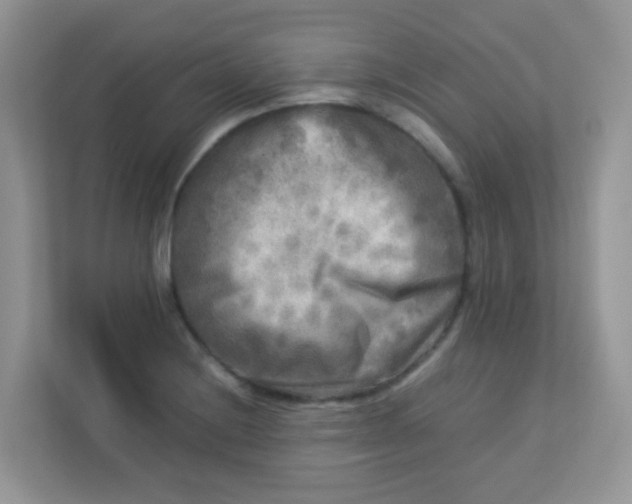 X0000113291228200909281005