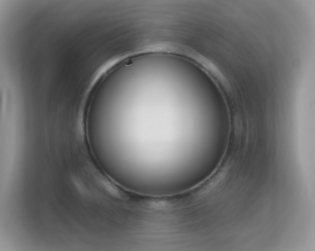 X0000113291230200909281005