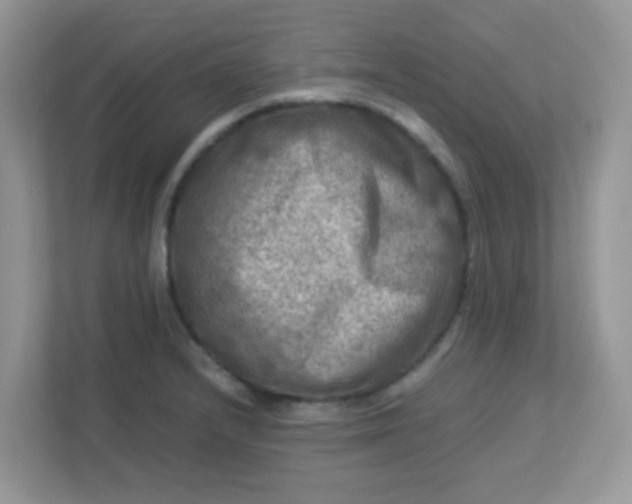 X0000113291232200909281005