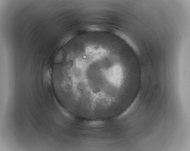 X0000113291233200909281005