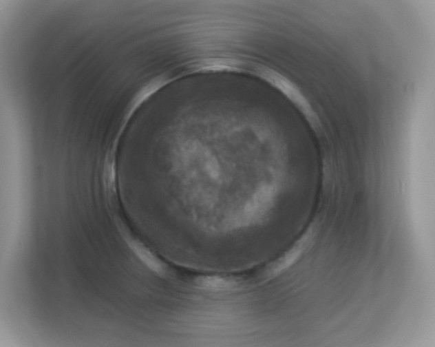 X0000113291234200909281005