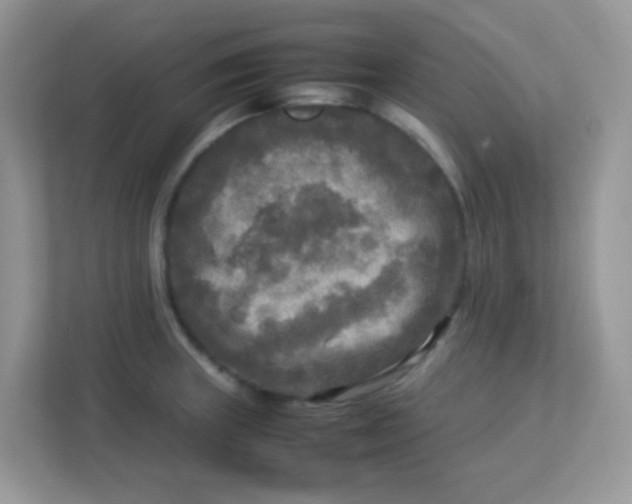 X0000113291235200909281005