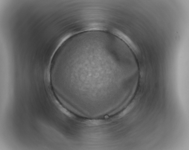 X0000113291236200909281005