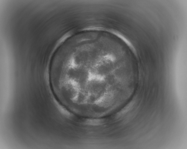 X0000113291237200909281005