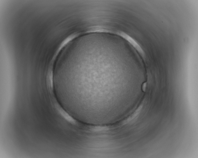 X0000113291238200909281005