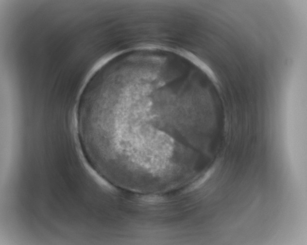 X0000113291239200909281005