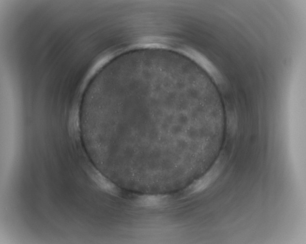 X0000113291240200909281005