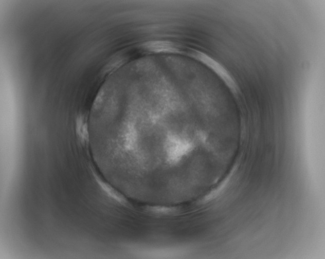 X0000113291241200909281005