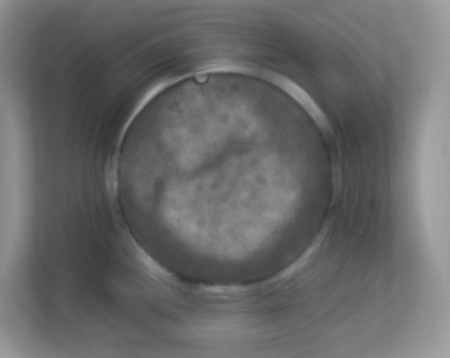 X0000113291244200909281006