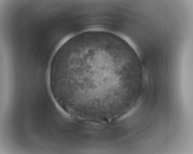 X0000113291245200909281006