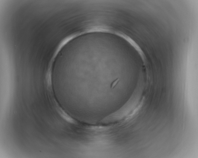 X0000113291246200909281006