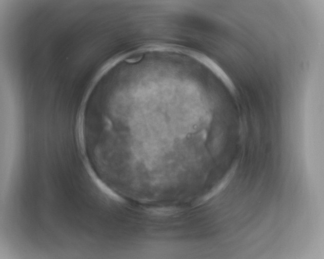 X0000113291247200909281006