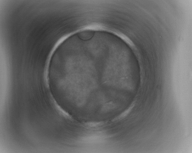 X0000113291248200909281006