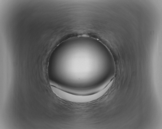 X0000113291249200909281005