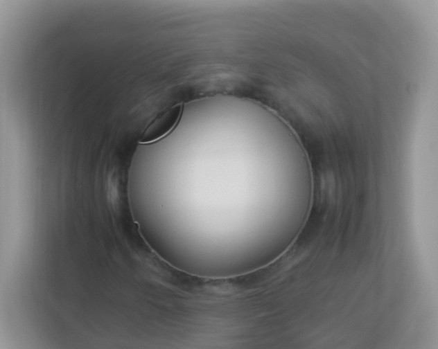 X0000113291250200909281005