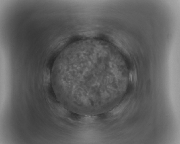 X0000113291251200909281005