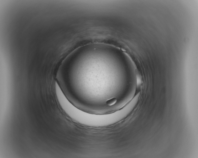 X0000113291252200909281005