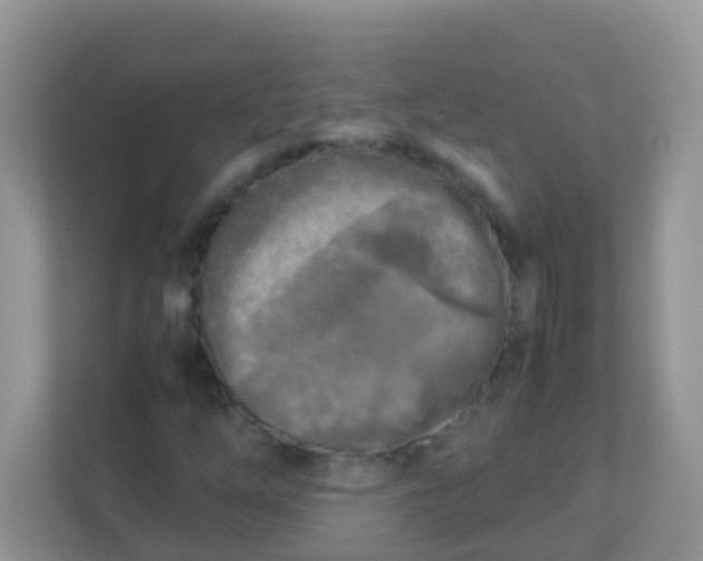 X0000113291254200909281005