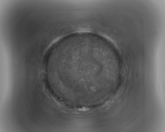 X0000113291255200909281005