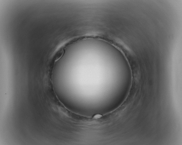 X0000113291256200909281005