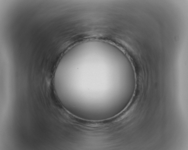 X0000113291257200909281005