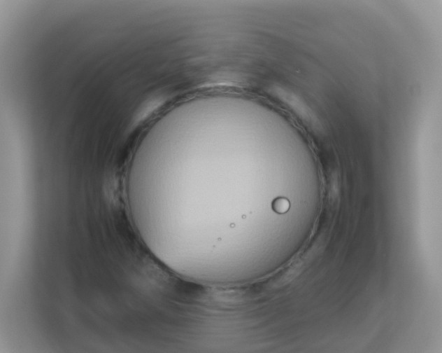 X0000113291258200909281005