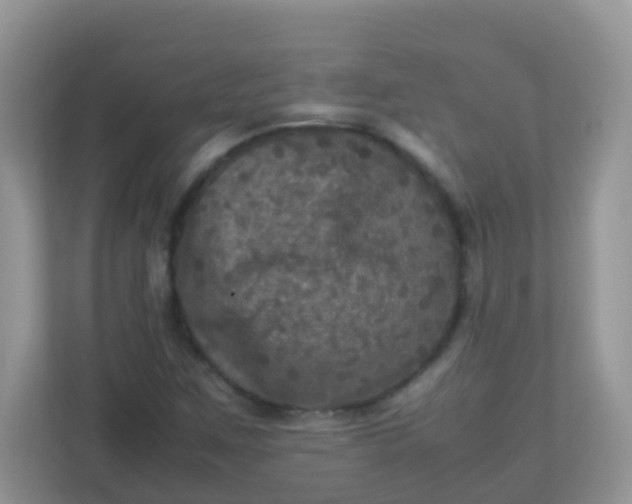 X0000113291259200909281005