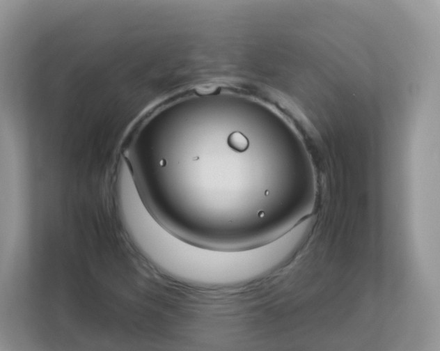 X0000113291260200909281005