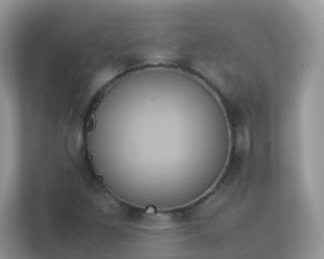 X0000113291261200909281005