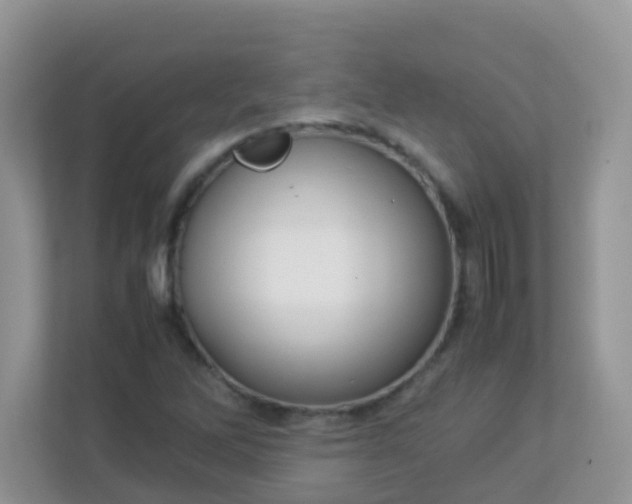 X0000113291262200909281005