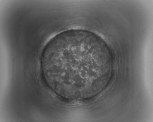 X0000113291263200909281005