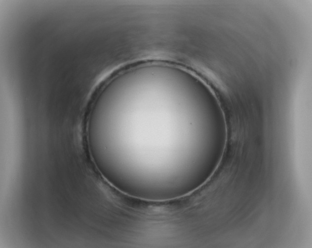 X0000113291264200909281005