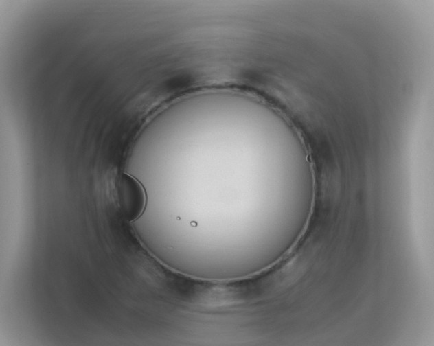 X0000113291265200909281005