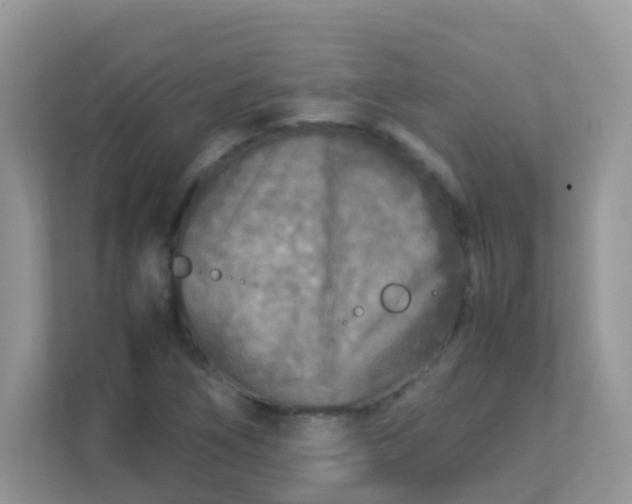 X0000113291266200909281005