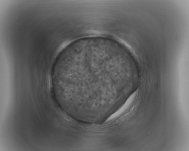 X0000113291267200909281005