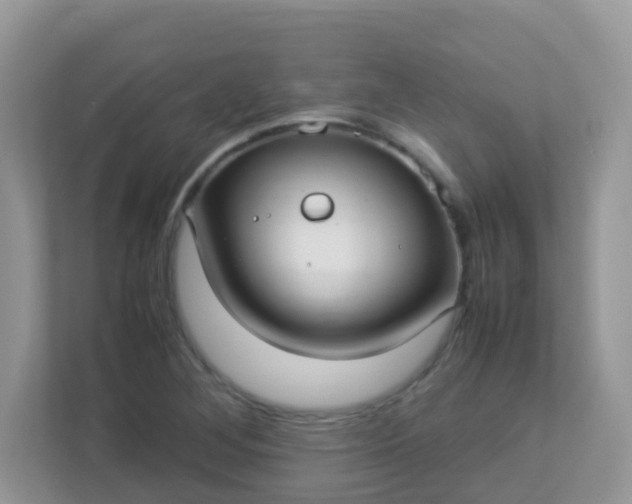 X0000113291268200909281005