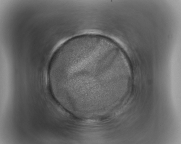 X0000113291271200909281005