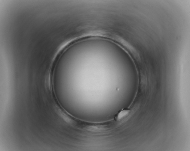 X0000113291272200909281005