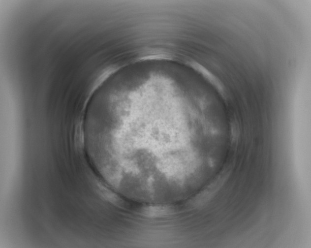 X0000113291274200909281005