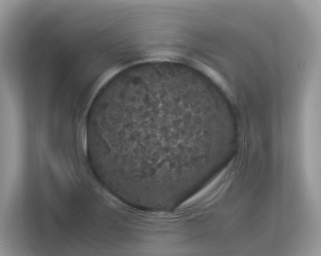 X0000113291275200909281005