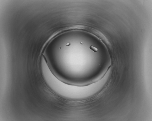 X0000113291276200909281005