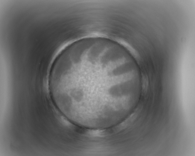 X0000113291278200909281005