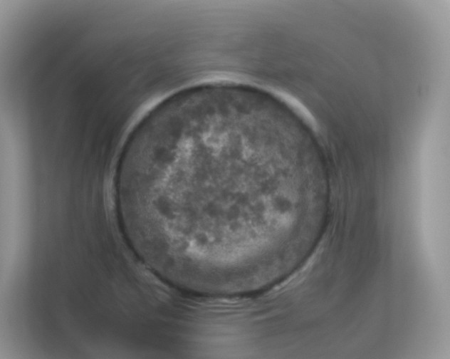 X0000113291279200909281005